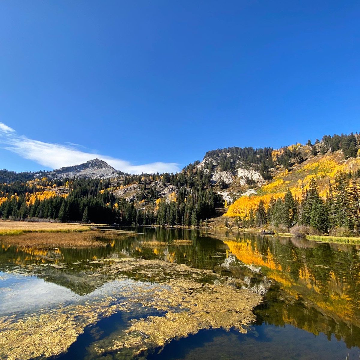 Rangersgal4's tweet photo. No big deal. Just a solo hike to see Fall settling in nicely in #bigcottonwoodcanyon today.  Crisp air, blue skies, still reflections in the water and leaves starting to show off their colors. 🤩
#hikeutah #girlswhohike #beUTAHful #fallishere https://t.co/ORCzUImqBK