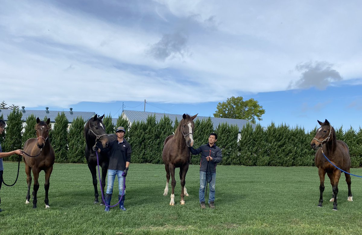 孫のロマンドブリエ(牡2、父エピファネイア)は日曜中京4Rでデビュー。ドーベル産駒としてホウオウドリームと並んで最多タイの4勝を挙げたレーヌドリエの初仔。
#メジロドーベル