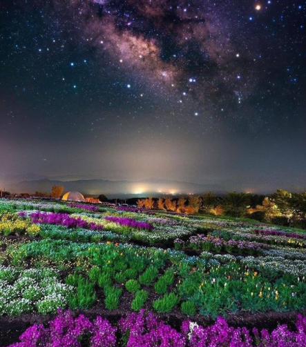 RussellAbrams80's tweet photo. A beautiful picture of the night sky!

#picture #nightsky #russellabrams https://t.co/1BFJsbBVHZ