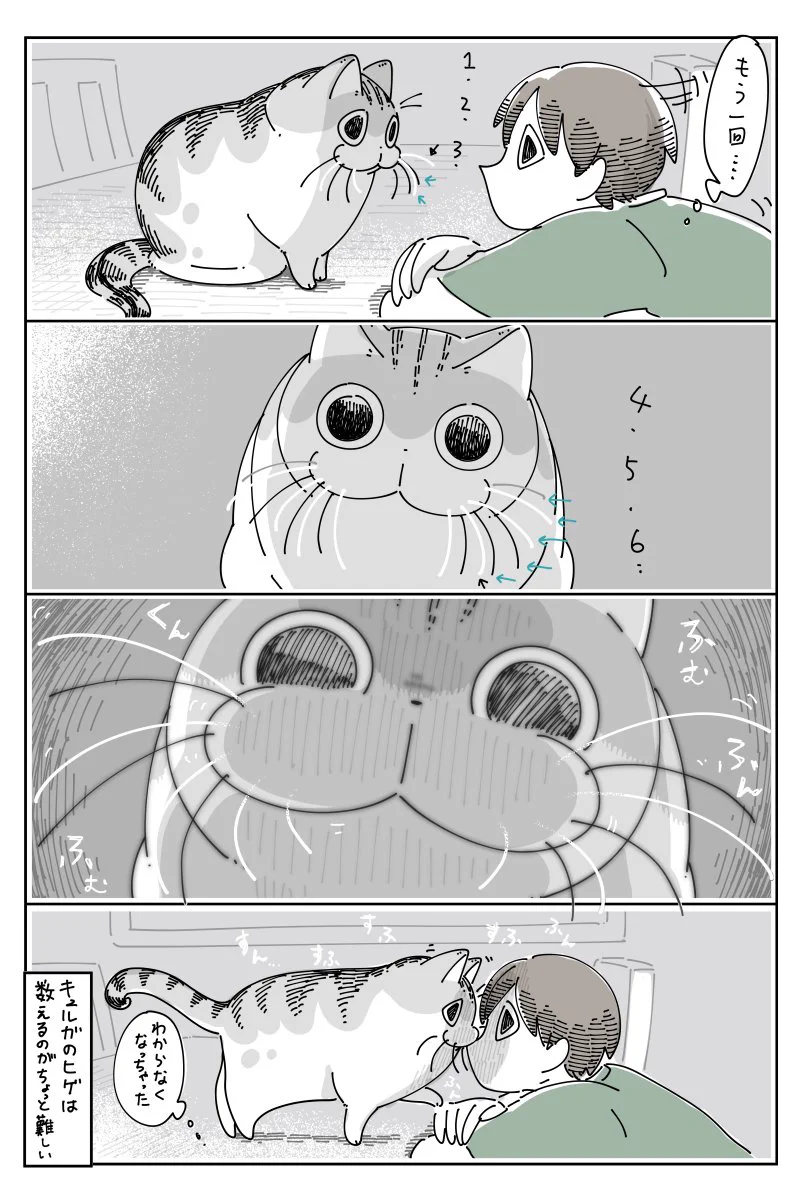 これは難易度高そう･･･！猫のひげを数えようと試みるお話！