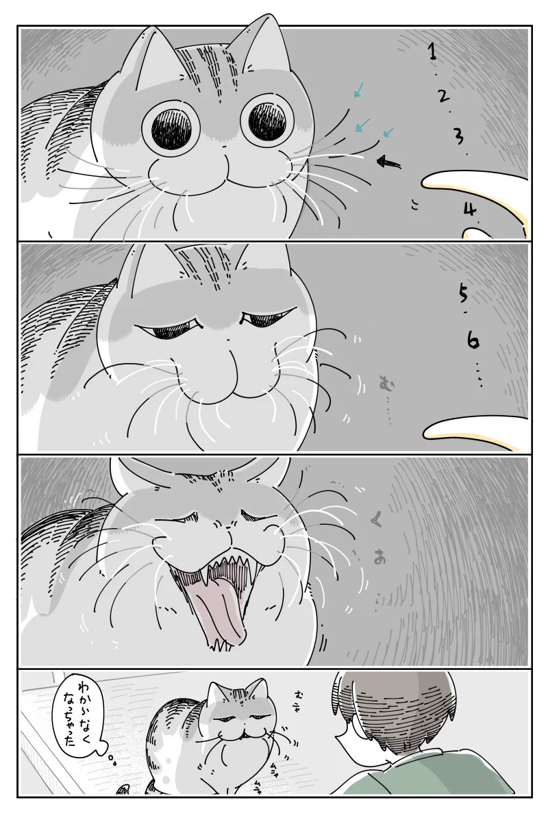 これは難易度高そう･･･！猫のひげを数えようと試みるお話！