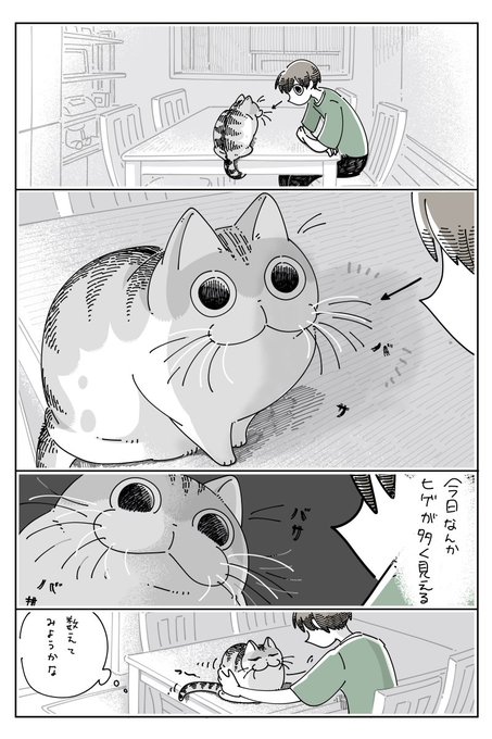 【専用】ヒゲのねこさん❤ ねこの髭さし 黒猫 猫ヒゲ ねこひげ集め 羊毛フェルト gunteneko
