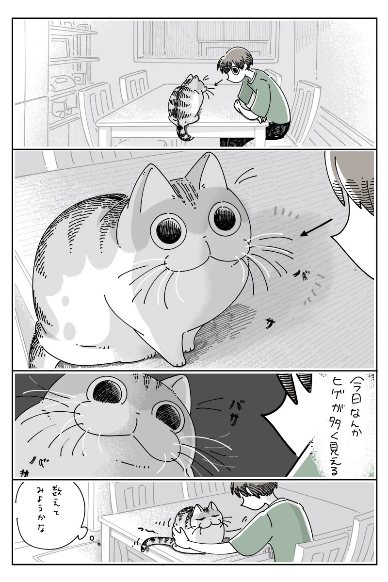 これは難易度高そう･･･！猫のひげを数えようと試みるお話！