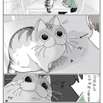 これは難易度高そう･･･!猫のひげを数えようと試みるお話!