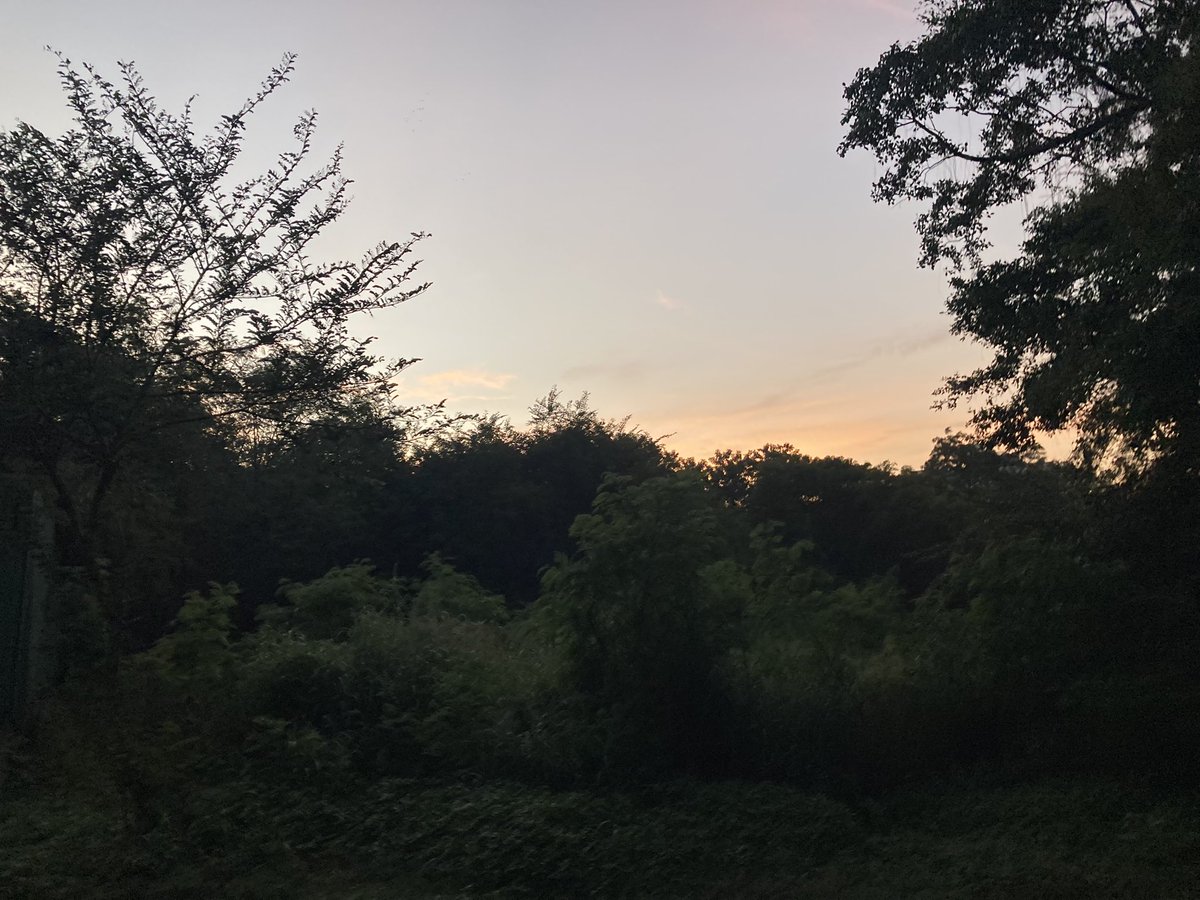 akhaware's tweet image. My day so far. Ride to University, walk and Cardio at University and then rode back home. #PuneUniversity is heaven for morning workout. I have done so many runs here earlier.
#cycling #ChasingSunlight