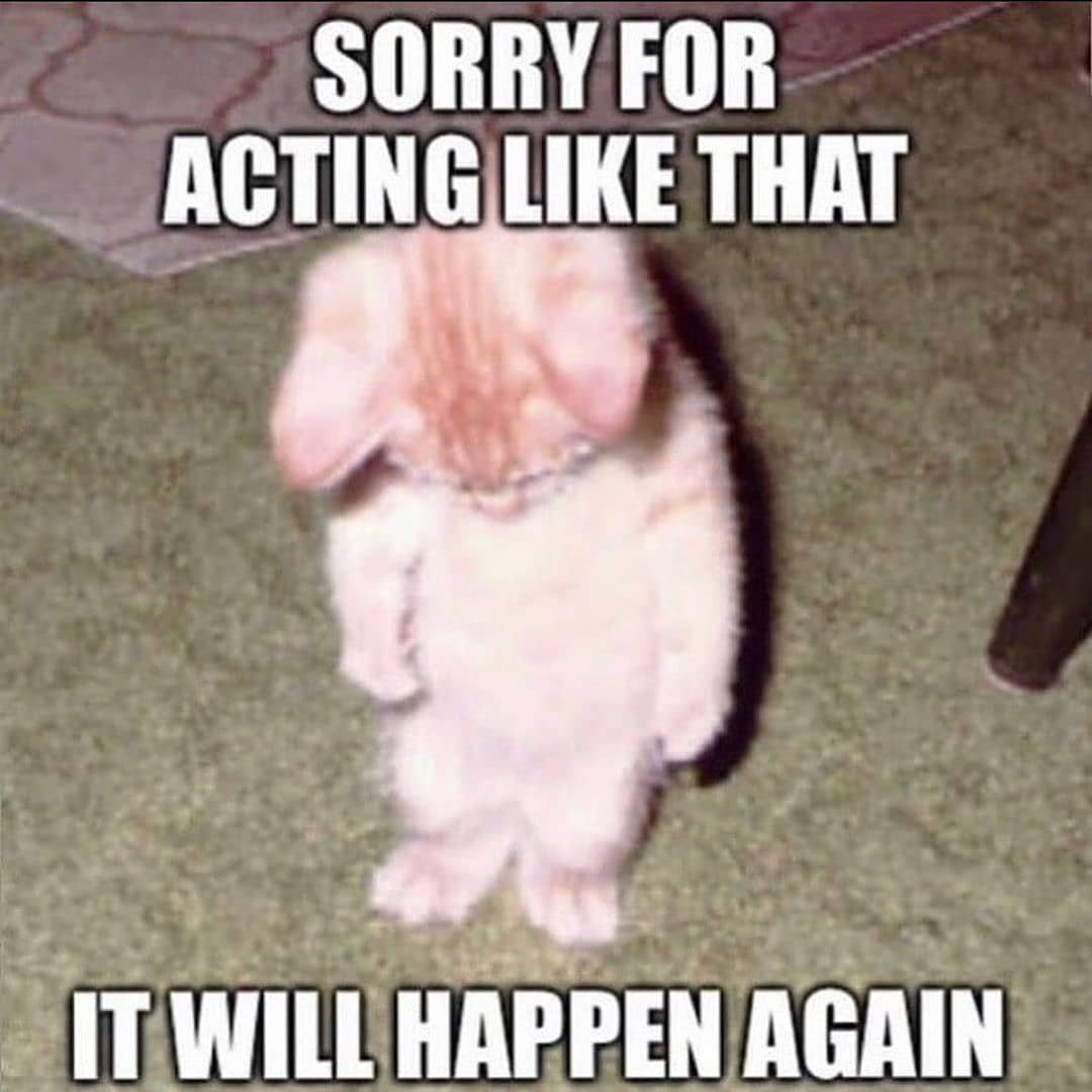 should probably stop bribing people with candy