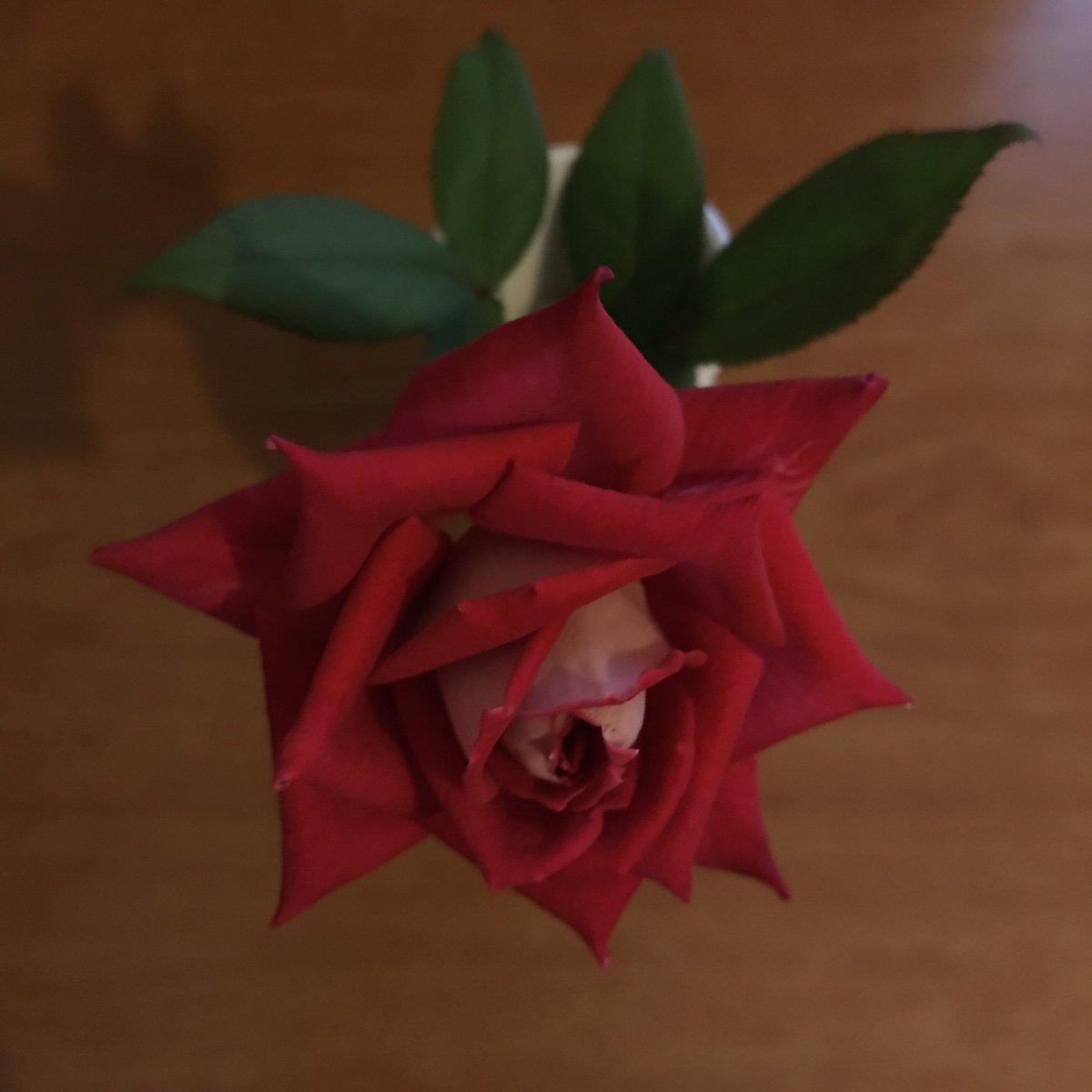 さようなら　さよなら　さらば　そうならば　そうしなければならないならば