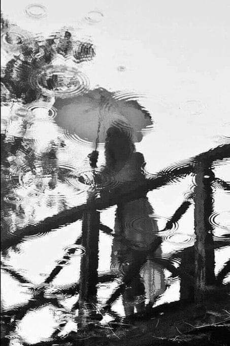 literlandweb1's tweet photo. "Uno se convierte en lo que mira, en lo que recuerda, en lo que anhela, en lo que transmite. Ahora sé que el futuro comienza hoy y depende de lo que elijo ver, de lo que me permito decir, de lo que quiero recordar y de lo que decido amar".
Laura Esquivel. https://t.co/chgHR8CoIC