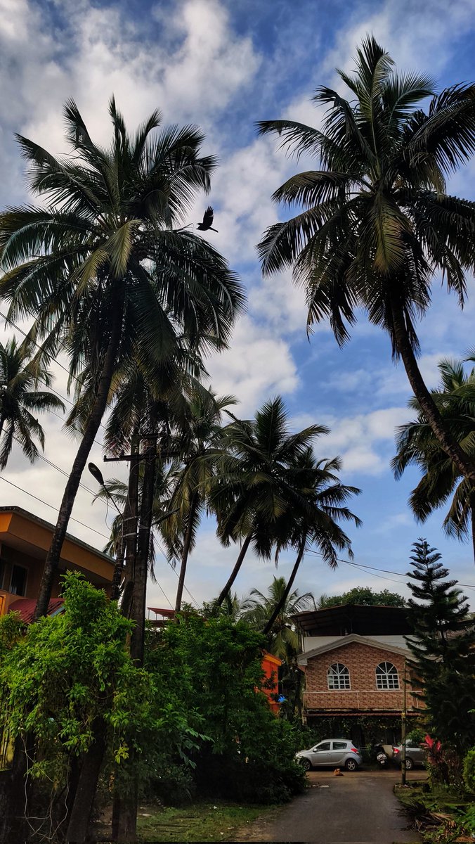 sanzgirininad11's tweet photo. शुभ सकाळ 🌥️
#goodmorning #GoodMorningTwitterWorld #goodmorninggoa #Goa #sunrise #SEPTEMBER #Monsoon https://t.co/6juHcHSSMA