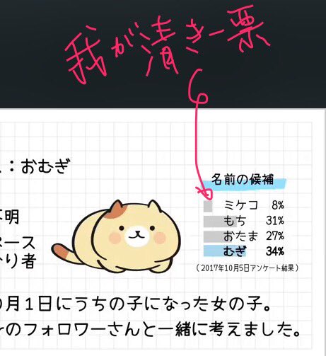 zzwsp's tweet photo. @Rakuten_Panda むぎ〜今から思えば無名で登場した時から既に「むぎ」だったね✨
そんな君にミケコと名付けようとした自分にドロップキック✨😘 https://t.co/VRa1yejZjn