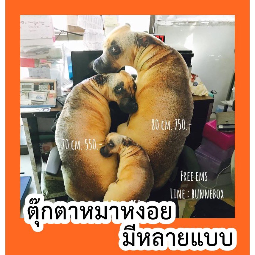 Nok_Shuu's tweet photo. #noknokพาช็อป

แม่จ๋า อย่าตีหนู 😂😂

https://t.co/QjYt9Yo36o https://t.co/jJFcUqaAUn