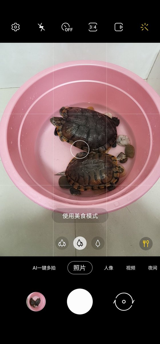 拍个乌龟，三星让我用美食模式……很灵性了……