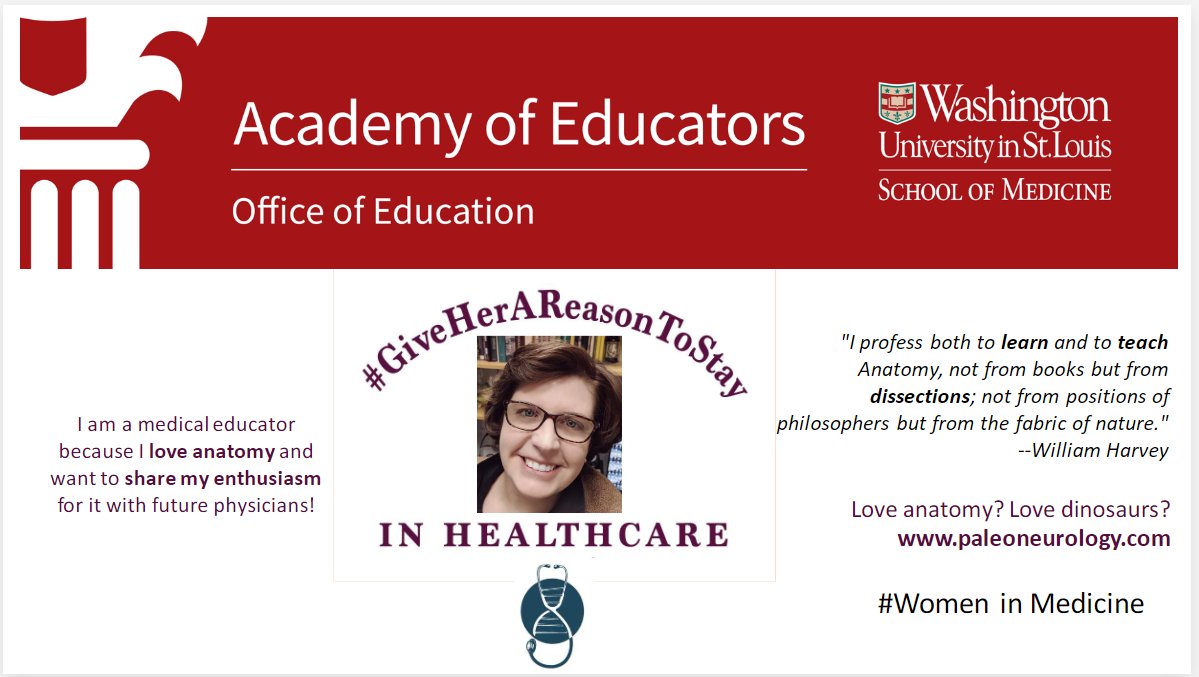 WashUAcadEd's tweet photo. Look out World, 
@WashUAcadEd is thrilled to highlight Dr.Michelle Morhardt! #WomenInMedicine @wusm_pathology @WUSTLImmuno @WUSTLdbbs  🧠🧠🫁 🫁 
@meklingensmith
#MedEd #WIMMonth 
@AagaardEva
@dcoscomd
@acgme
@abbyWUim
@WUDeptMedicine
@WUSTLmed @WashUSurgery https://t.co/qfJBwimD0z