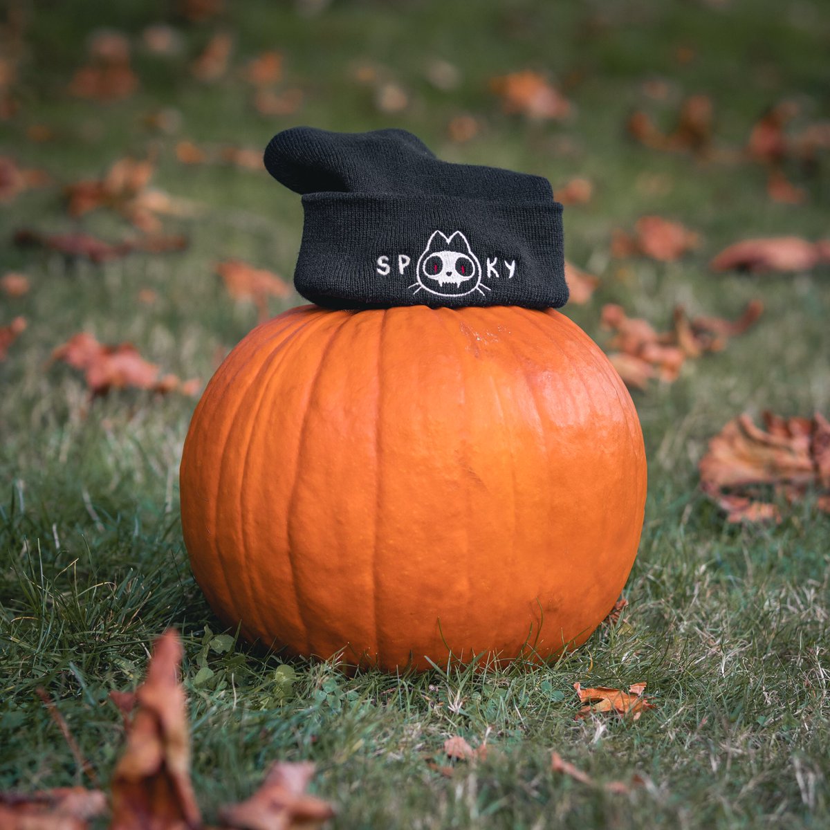 tunayo's tweet photo. Meowlloween starts at 9am tomorrow everyone!! I can’t wait! https://t.co/QXleN00v1l