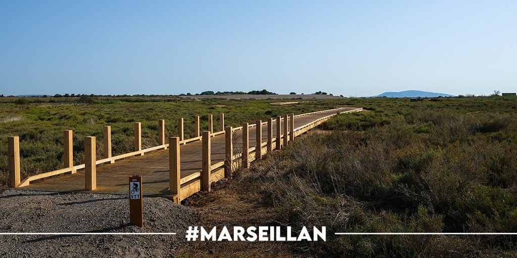 🚴‍♀️ Piste Cyclable 🚴‍♂️ Marseillan ➡ Mèze ✅

Le platelage permet d’éviter piétinement et dérangement des milieux naturels, de la faune et de la flore à enjeu présents dans ce secteur. Réalisé selon un calendrier respectant le cycle de nidification des oiseaux. Merci <a href="/Heraultinfos/">Département de l'Hérault</a>