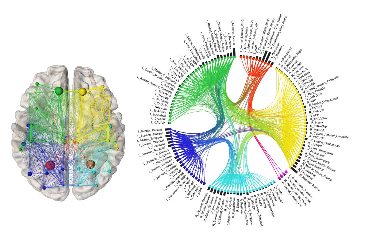 DrPhilipMosley's tweet photo. The atlas has been tested in #qsiprep
https://t.co/9We3EIiyxn
It's in MNI2009c space. LPS oriented. Json file code & label indices are accessible via Neurovault.
Structural connectome generated with @MRtrix3 visualised with https://t.co/Fk62bZAumP
Grouped here by modularity. https://t.co/RGRMg9BLC0