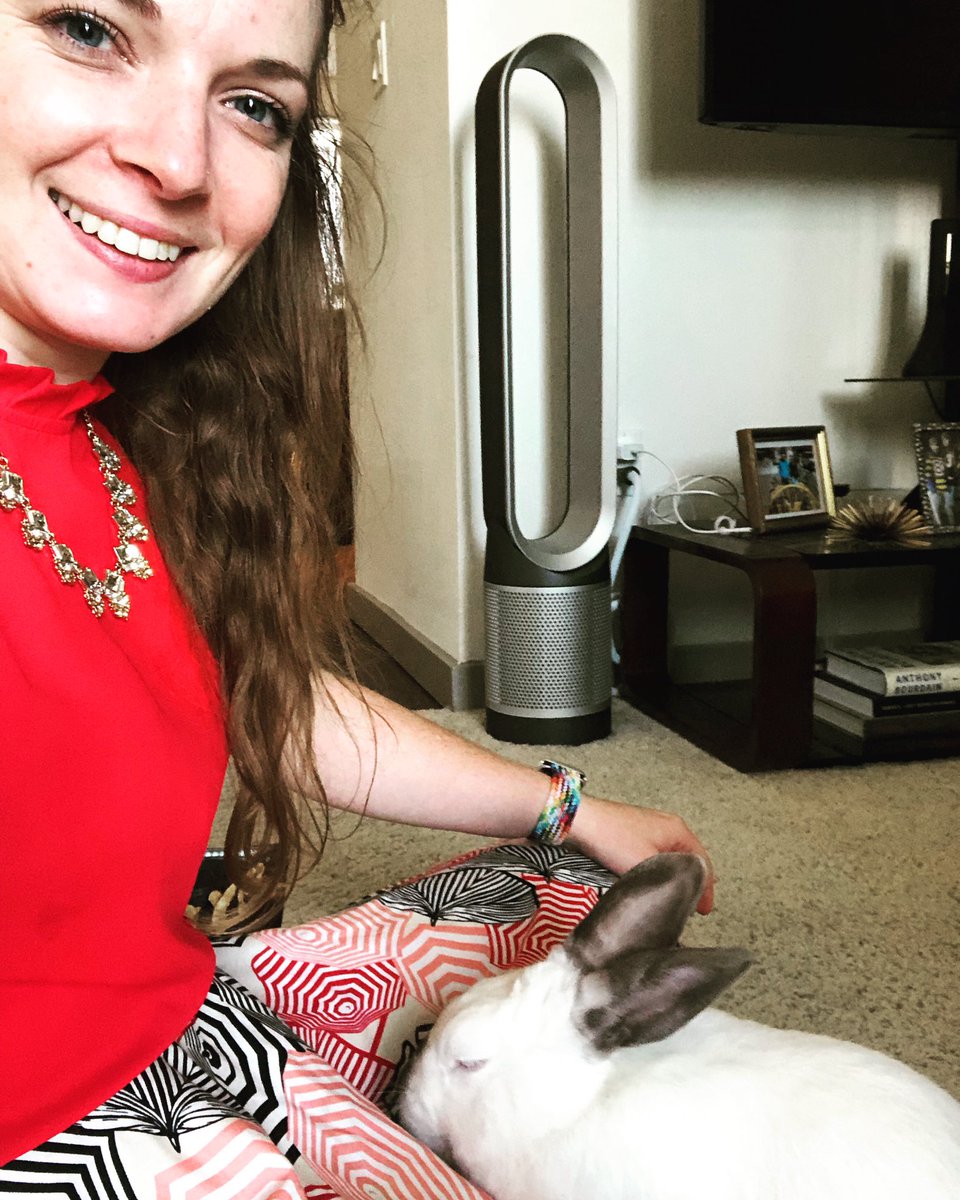 RebaTeaching's tweet image. I don’t tweet strictly rabbit content, but I need the world to experience the glory of #Nebby. We’ve been building trust for the past few months - much love going both ways - to build up to lap sits. Today officially marked the half-lap sit. #RabbitTwitter #BunnyLove @HouseRabbit
