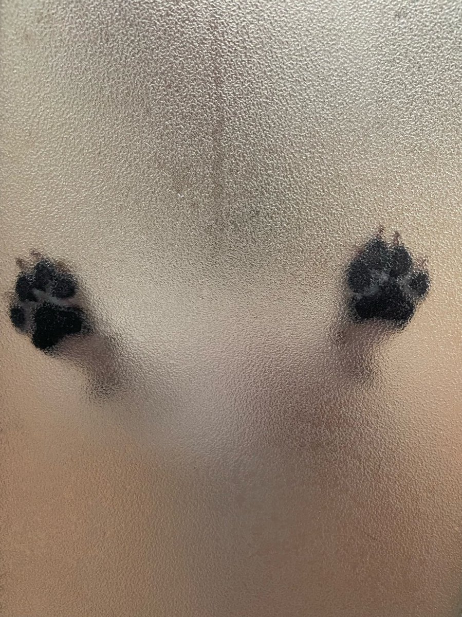 MerlotBeagle's tweet photo. Merlot’s Hitchcock “Psycho” shower scene moment...🐶🚿
苦手なシャワー頑張ったね😌
#beagle #ビーグル #hitchcock #shower #dog https://t.co/TSXFCwgqEZ