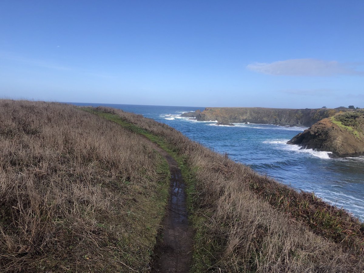 ComfyVan's tweet photo. Trail diversity in the same park. Only in #cali Jug Handle State Park #mendocino # NorCal #hiking #nature #dayhikes https://t.co/COdyN8SFGA