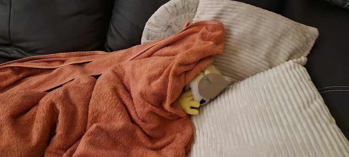 ixxim's tweet photo. So, jetzt schnell noch bissel slapen, bevor der Wahnsinn wieder los geht.
Ich wünsche Euch allen einen schönen Freitag. #deckelzu und #twoff https://t.co/EEEiLpxhnO
