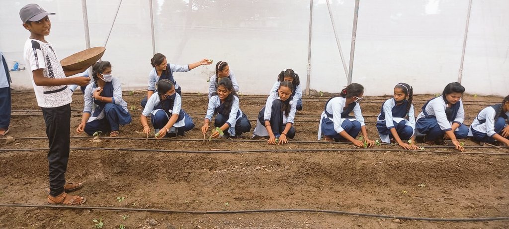 FALIAgriculture's tweet photo. A beautiful morning for students from Shivshakti Vidyalaya #Venikota #Yavatmal

Students are planting Brinjal and Chili in the school's shade-net.

#FridayMotivation 
#TeachAG https://t.co/26NJrU5cje