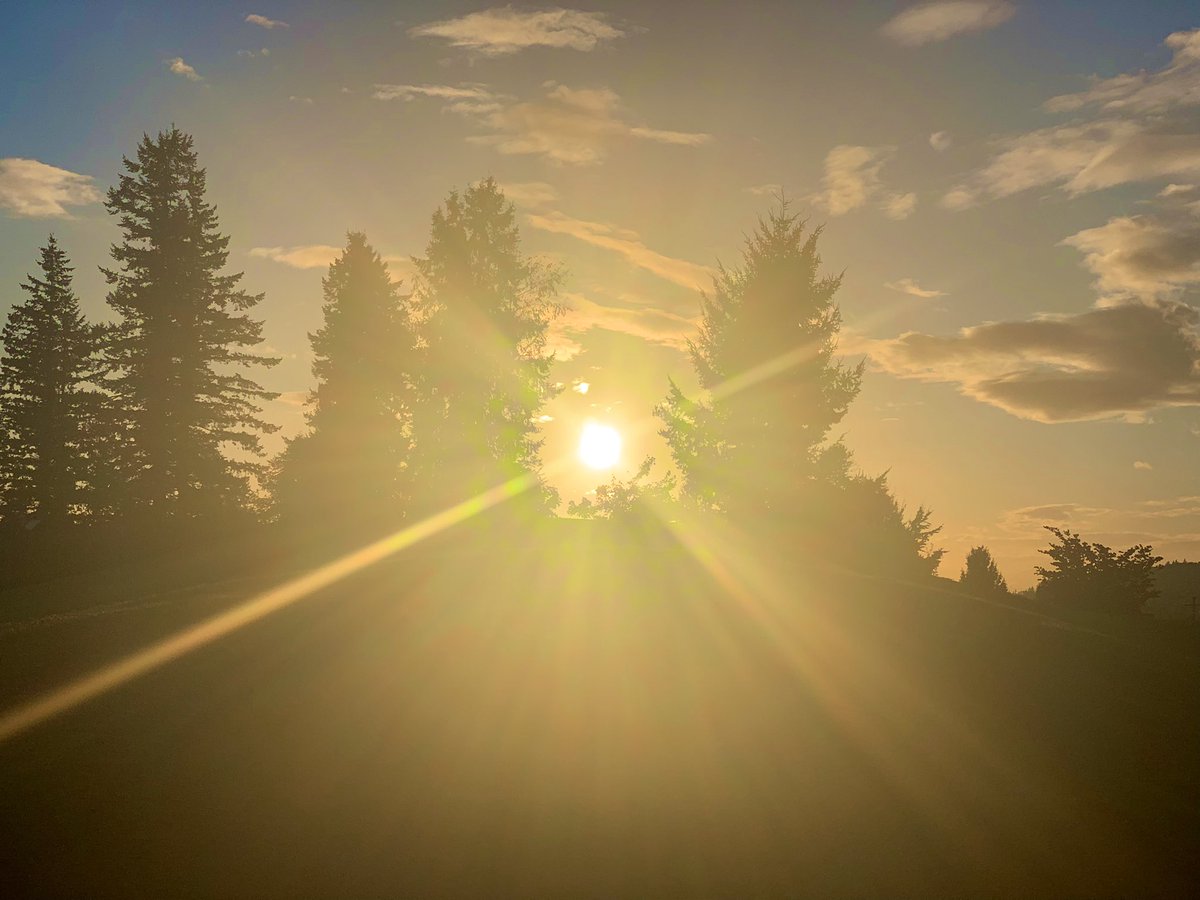 FugaciousOne's tweet image. Bye bye September 
#September2021