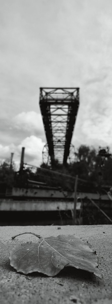 lupus_sch's tweet photo. "Landschaftspark Duisburg"
XPan mit dem OnePlus 9pro
#shotononeplus #oneplus #OnePlus9pro #OnePlus_DE
#Hasselblad #XPan https://t.co/uUuAn5GWii