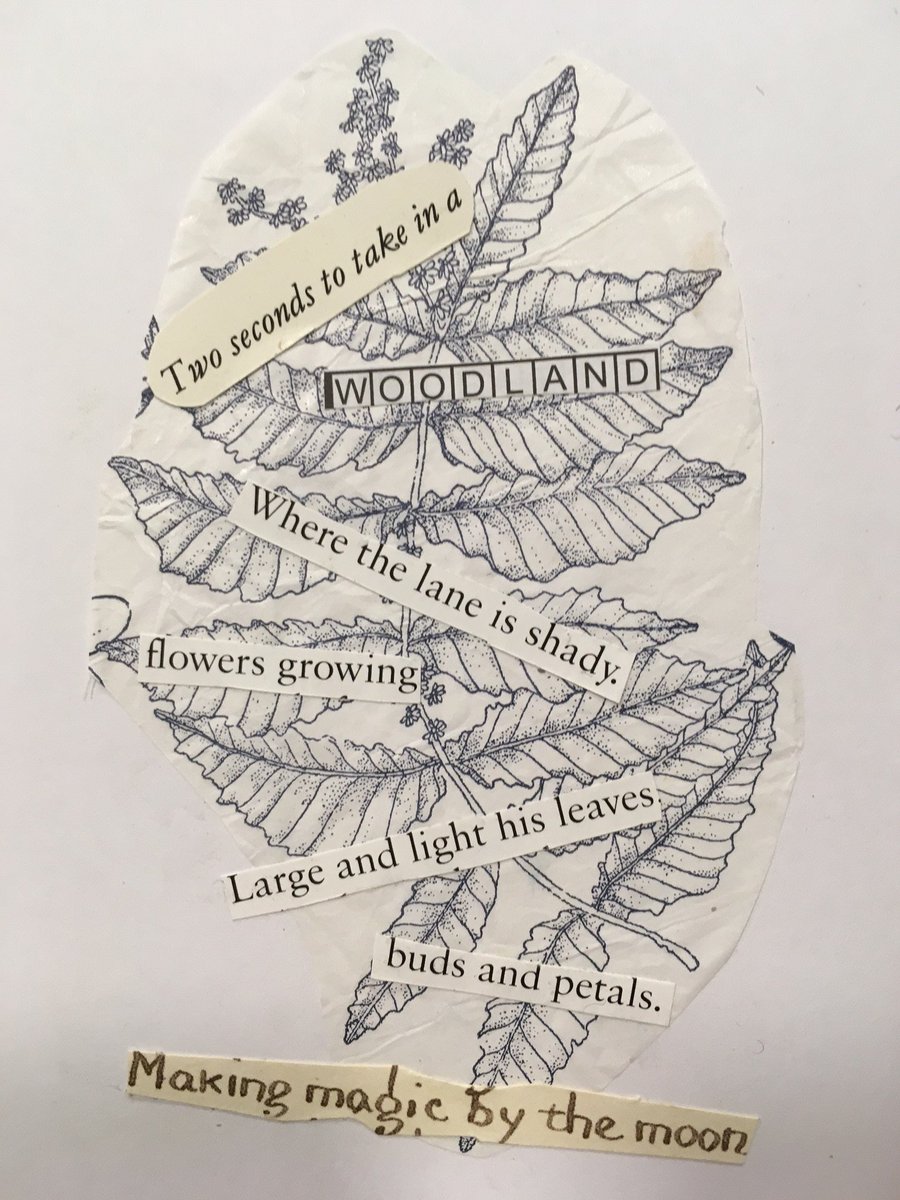 The next piece in our service user collage collection.

Artist, Catherine Cartwright, has been working on a collage project with some of our service users.
#devonrapecrisis #art #vawg #artspractice #catherinecartwright #collage #rapecrisis #devon #universityofexeter
