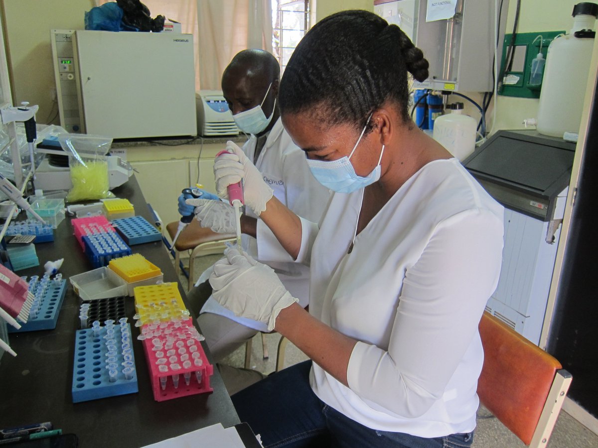 An essential part of our work is research. Our teams in Zambia, Tanzania, Mozambique and Germany consist of great doctors & students that work diligently to examine #Taeniasis & #Neurocysticercosis / #Cysticercosis , its origin, spread and possible treatments. 
#NTDTwitter