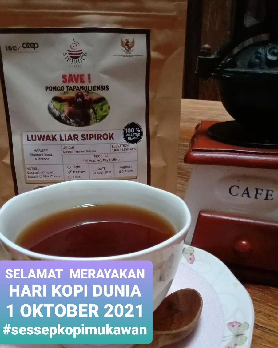 International Coffee Day
#sessepkopimukawan
#saveorangutanTapanuli
#savePONGOTAPANULIENSIS
#specialtycoffeeexpo