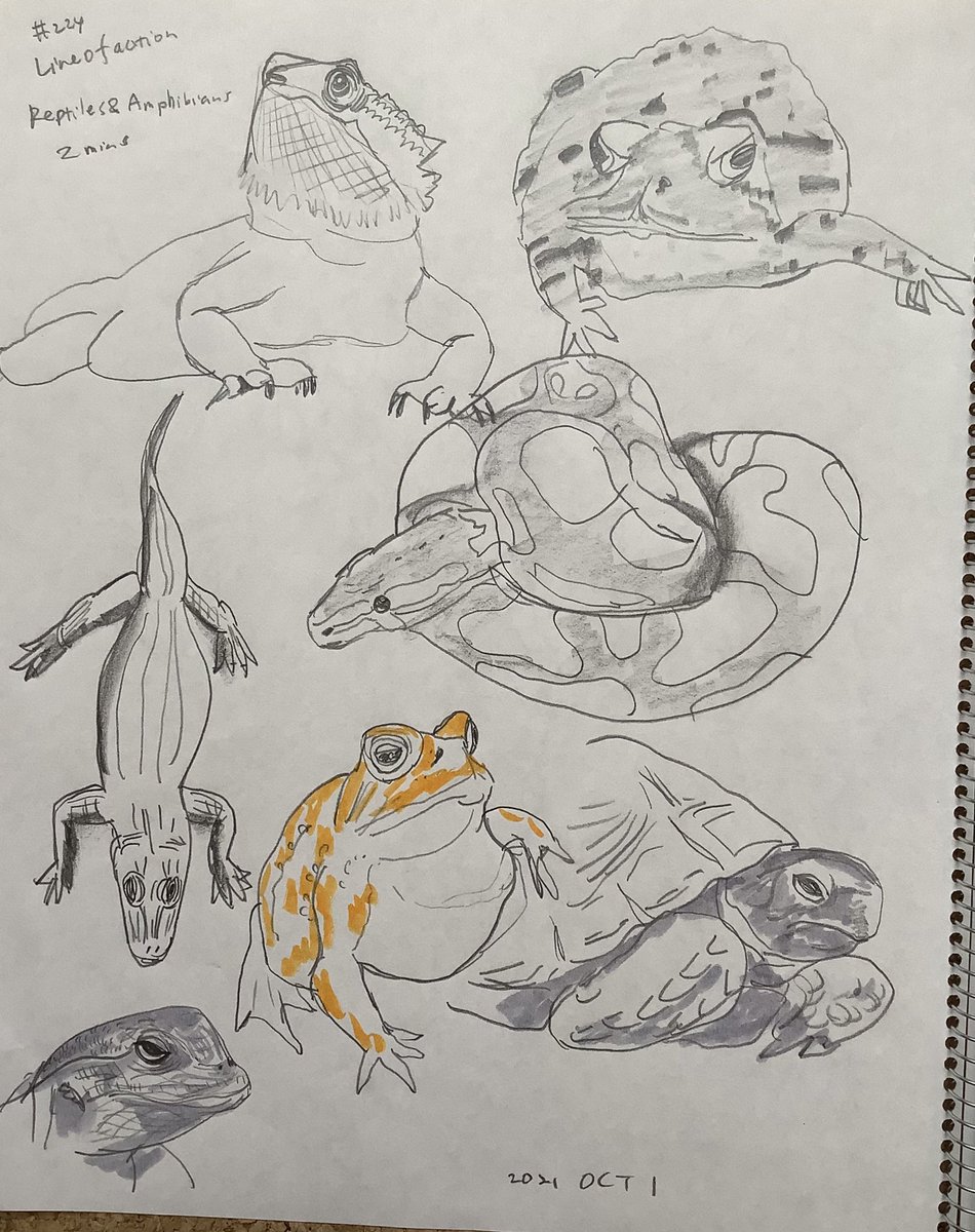 Mollykinoco's tweet image. #lineofaction #croques 224回目。人物60秒。両生類爬虫類2分。