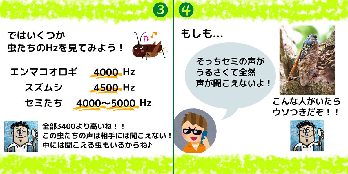 insectchobihige's tweet photo. 【コオロギの声は電話では聞こえない？】
#コオロギ　#虫の声　#秋の虫　#昆虫観察 https://t.co/AYOPetJlA9