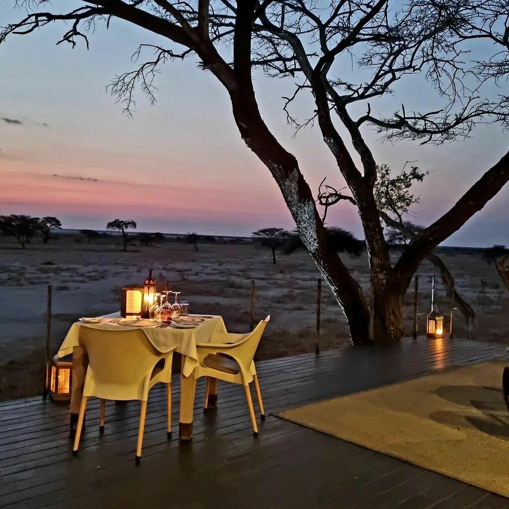 reisememo's tweet photo. So, this is how they celebrate the sundowner and dinner at @onguma_safari_camps
Can it get any better?! ๐
#sundowner #sunset #namibia #namibiatravel #onguma #ongumathefort #sunset #sunsetsofnamibia #sunsetaroundtheworld #dinner #romantic #wonderfulโฆ https://t.co/GK7jmmJu8w https://t.co/TpXGZ1VZjb