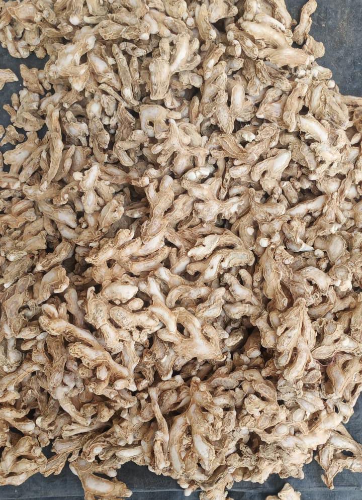 FrescoGreenland's tweet photo. Shipping Dry Ginger (Whole) to our customers .
Greenland Fresco is one of the leading exporter & supplier of Dry Ginger from India.
We are located at the center of major dry ginger production areas in Karnataka.
#Ginger #DryGinger #DriedGinger #IndianGinger #Exports #Spice https://t.co/JgTlfK6HSk