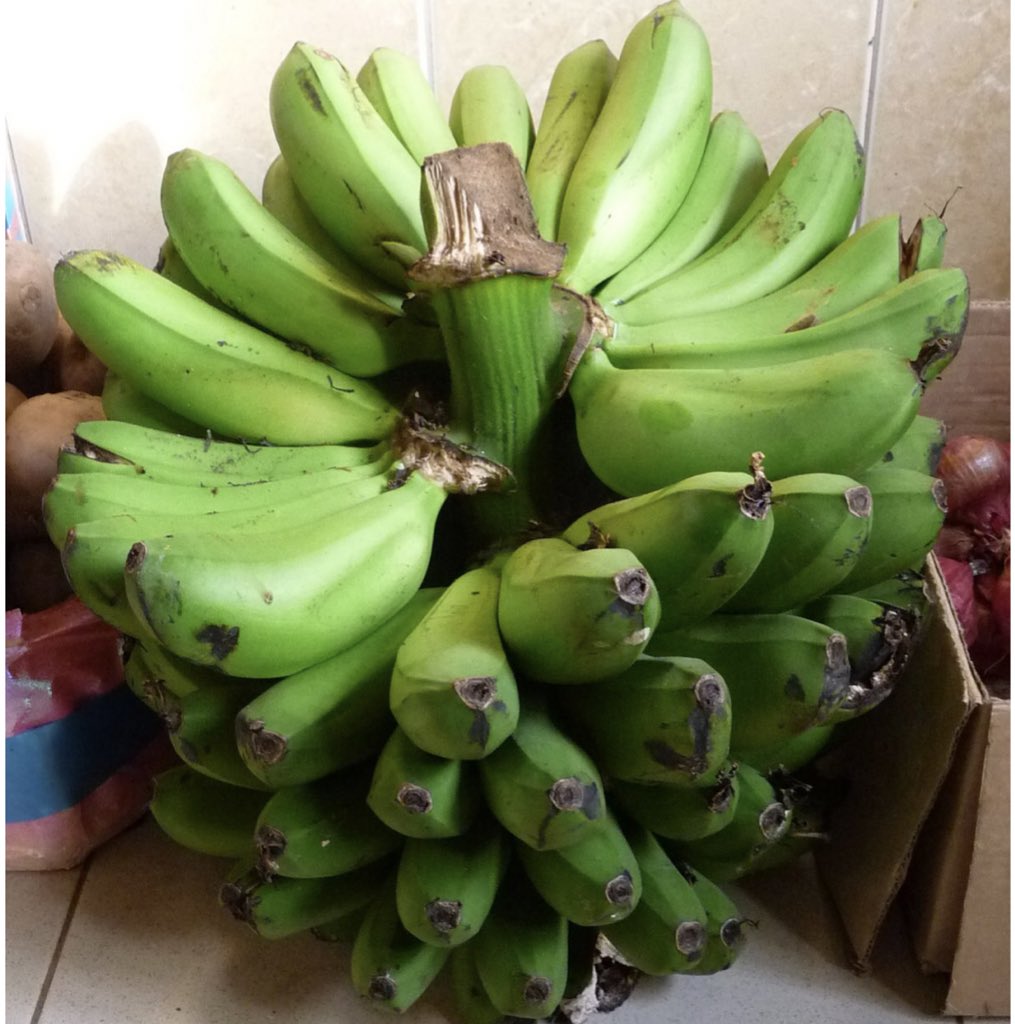 Atuhairecarol10's tweet photo. We got a camera crew, 12kg Shell Gas cylinder, matooke, fibres, pans and the friend with the know-how. And yes, we got our friend the yellow mushy matooke. Shell Gas CAN give you the same results with way better convenience. As a bonus, we prepared 'Luwombo'
#ShellGasSafety https://t.co/4ZWKOiDYUH