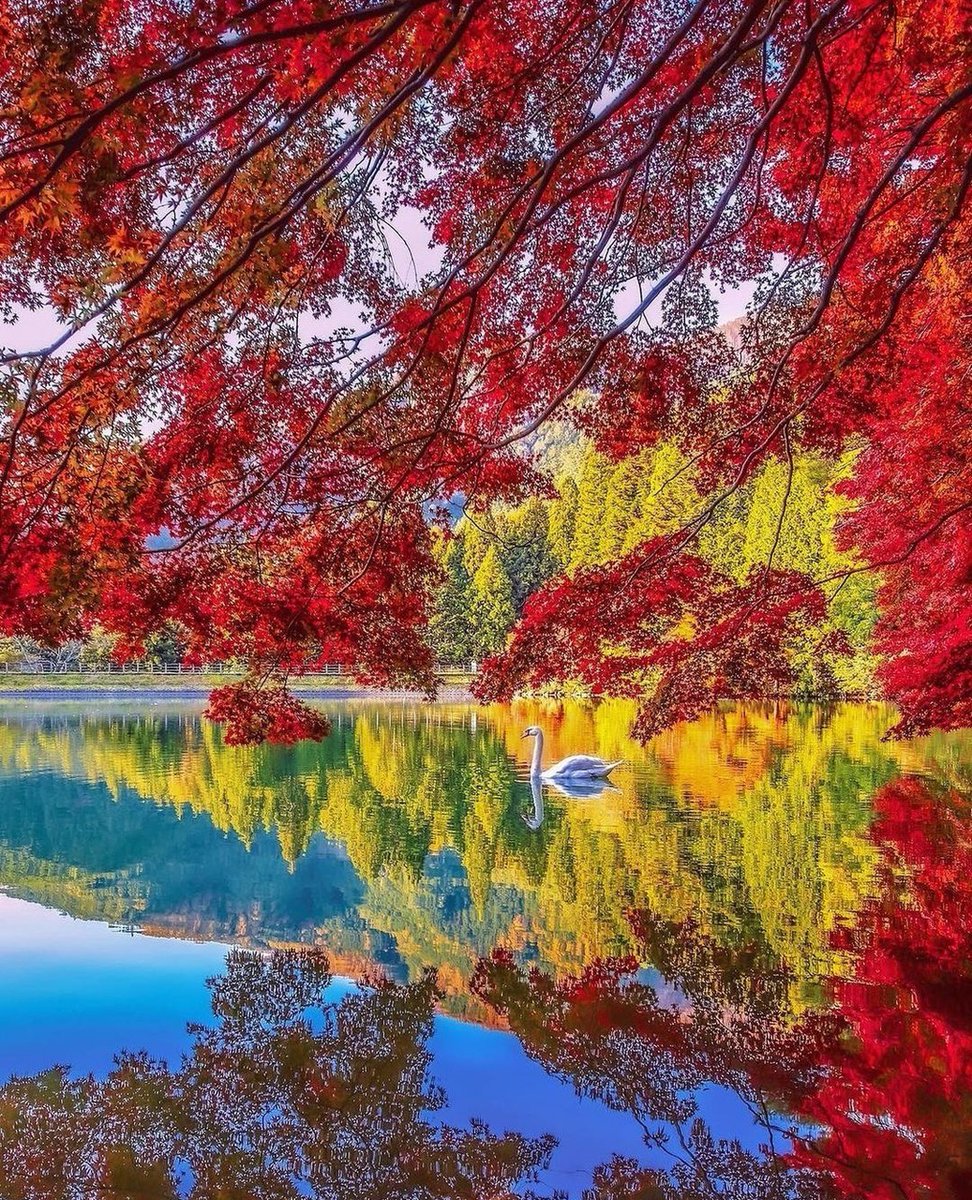 Happy new month everyone🍁🍂
                              #HappyFriday