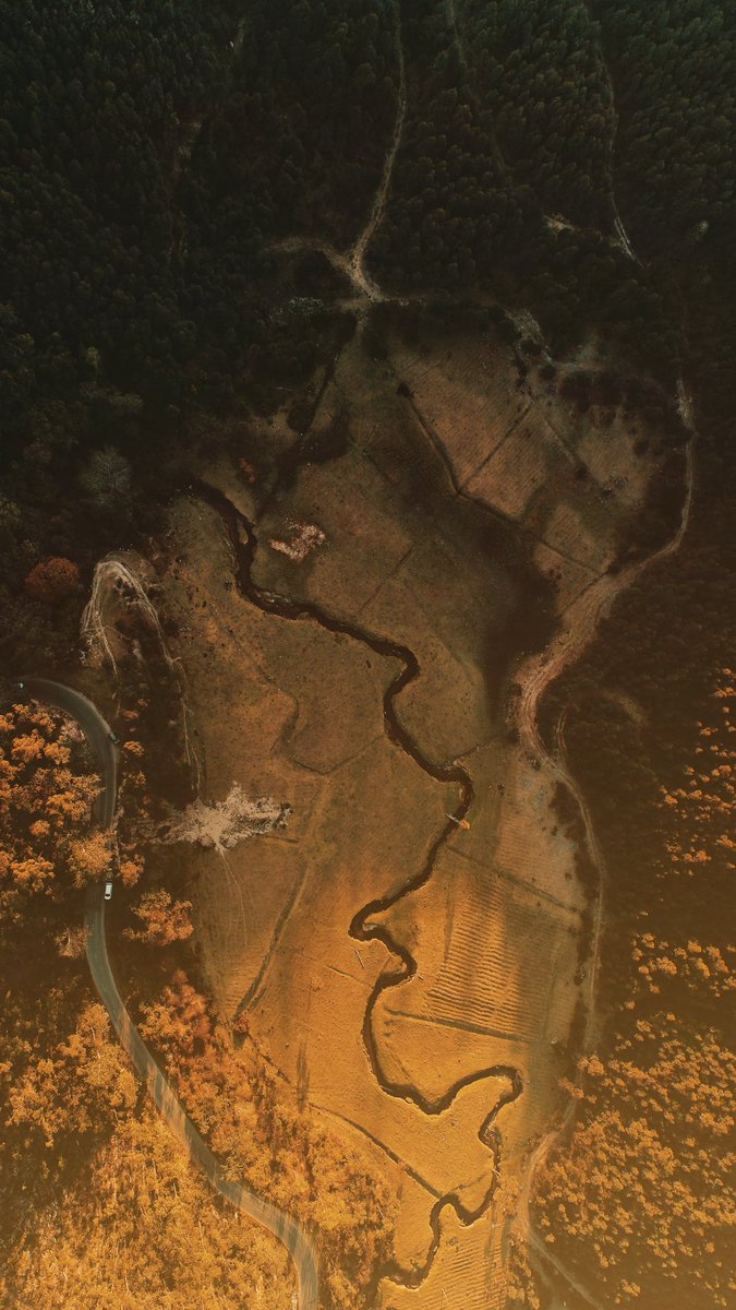 SREEJITH_K_S's tweet photo. Lustre

#djiphantom4 #arielphoto #dronephotography #munnar #natgeotraveller #IndiaNarrative #indianlandscape #sreejithks #sreejithsomanphotography https://t.co/aW2RDCHvZB