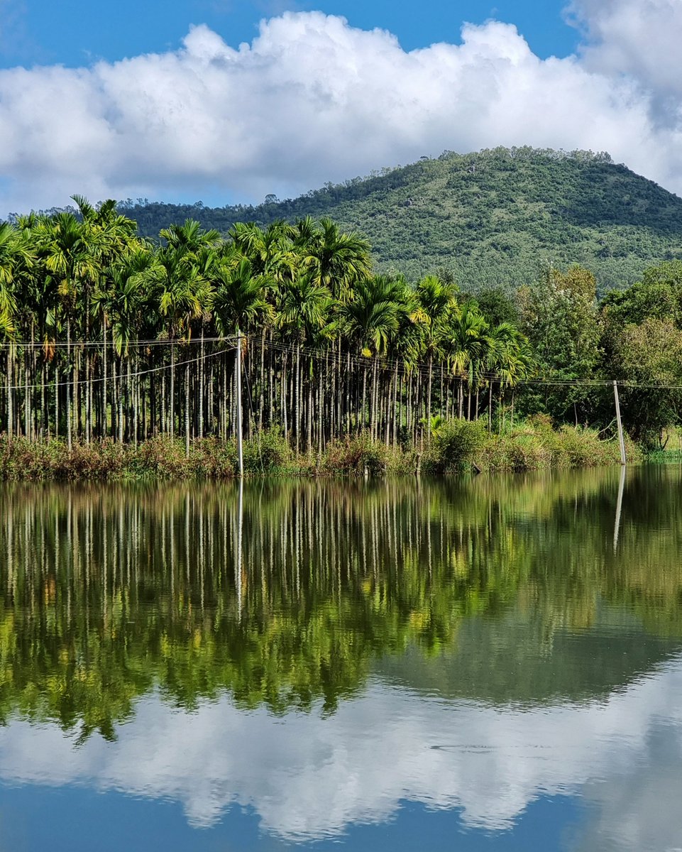Headed back to the beautiful land of coffee! #chikmagaluru