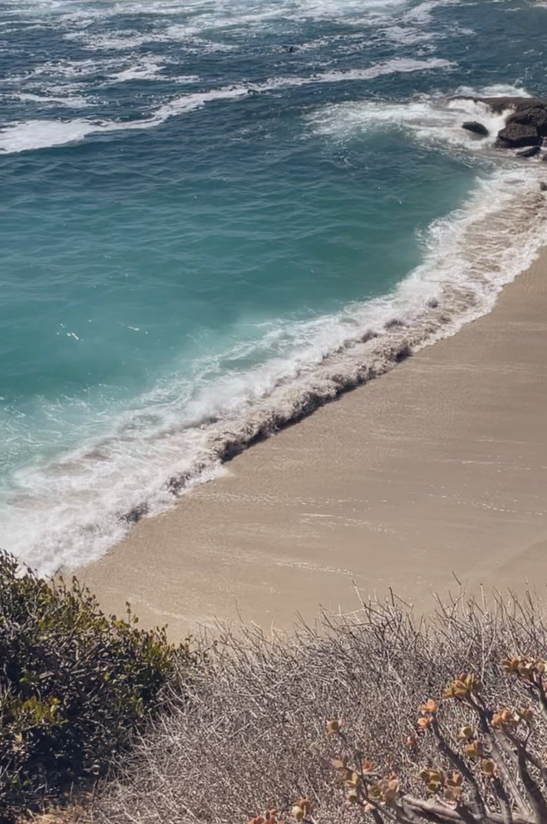 nvmsea's tweet photo. Hella happy I finally made it to the beach for the first time in two years? #cuttingchords #soulretrieval https://t.co/sEcA6hy5VG