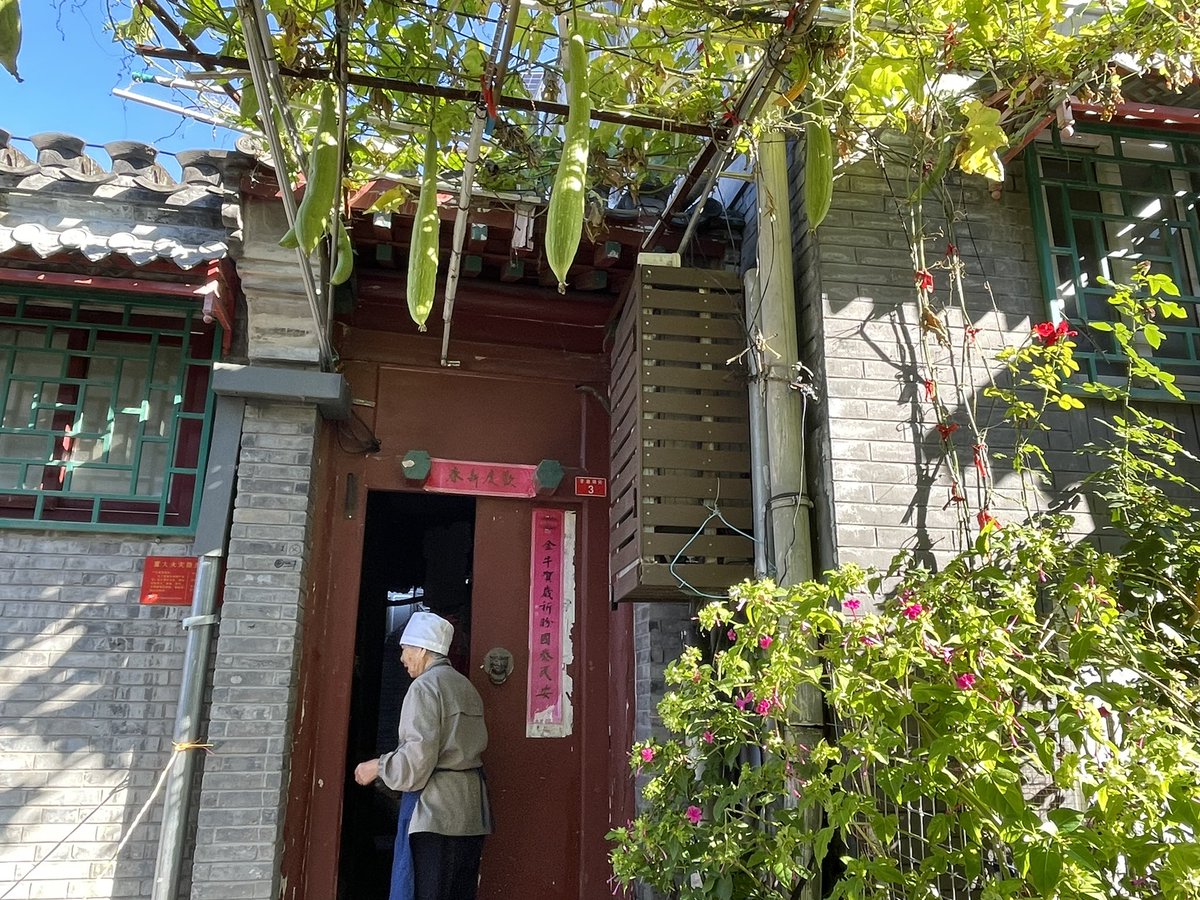 GraceLinLang's tweet photo. The Hutong walks on a lovely Autumn day in Beijing are SO refreshing! Just look at the colours…The early morning greetings with the familiar strong local “er” accent are charming and warm! https://t.co/BwkEkmcLuM