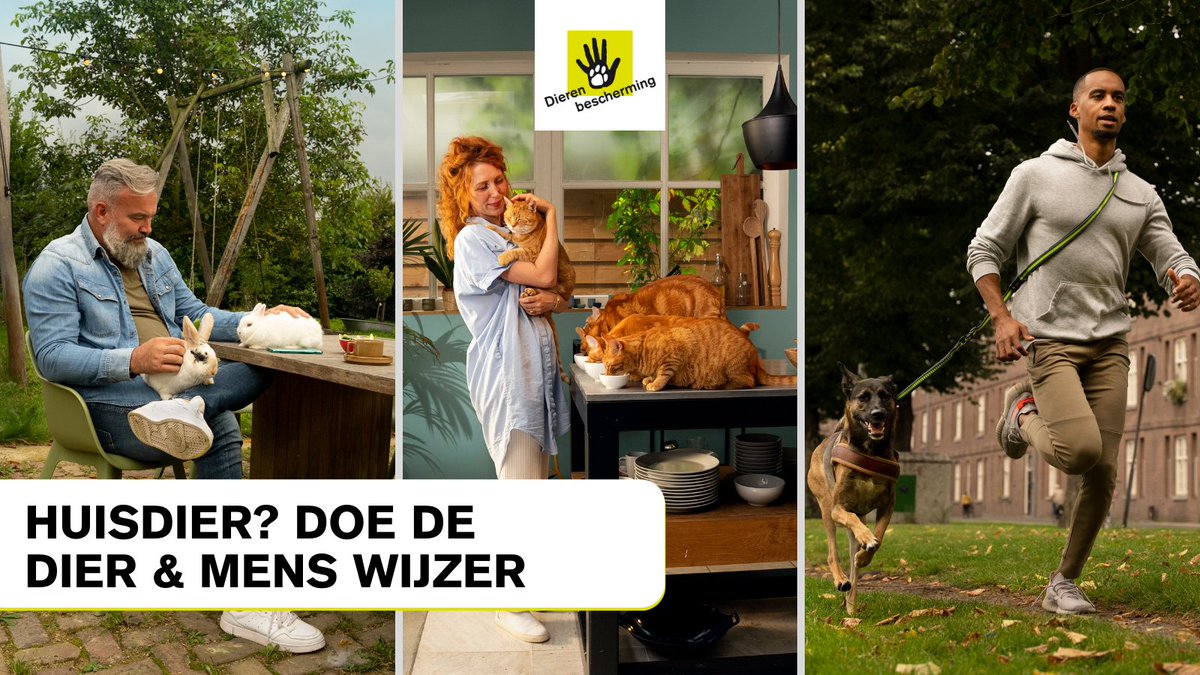 Waar moet je allemaal aan denken als je een huisdier in huis neemt?

Passen je woning en levensstijl bij die van het dier? Matchen jullie agenda's? Heb je enig idee hoeveel geld een dier per jaar kost?

Bekijk onze tien stappen en doe de #DierMensWijzer: bit.ly/3ocbNOo.