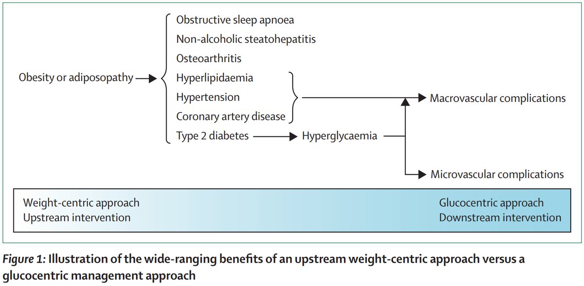 TheLancet's tweet image. Today at #EASD2021—Obesity management as a primary treatment goal for type 2 diabetes: time to reframe the conversation hubs.li/H0YCbJ00