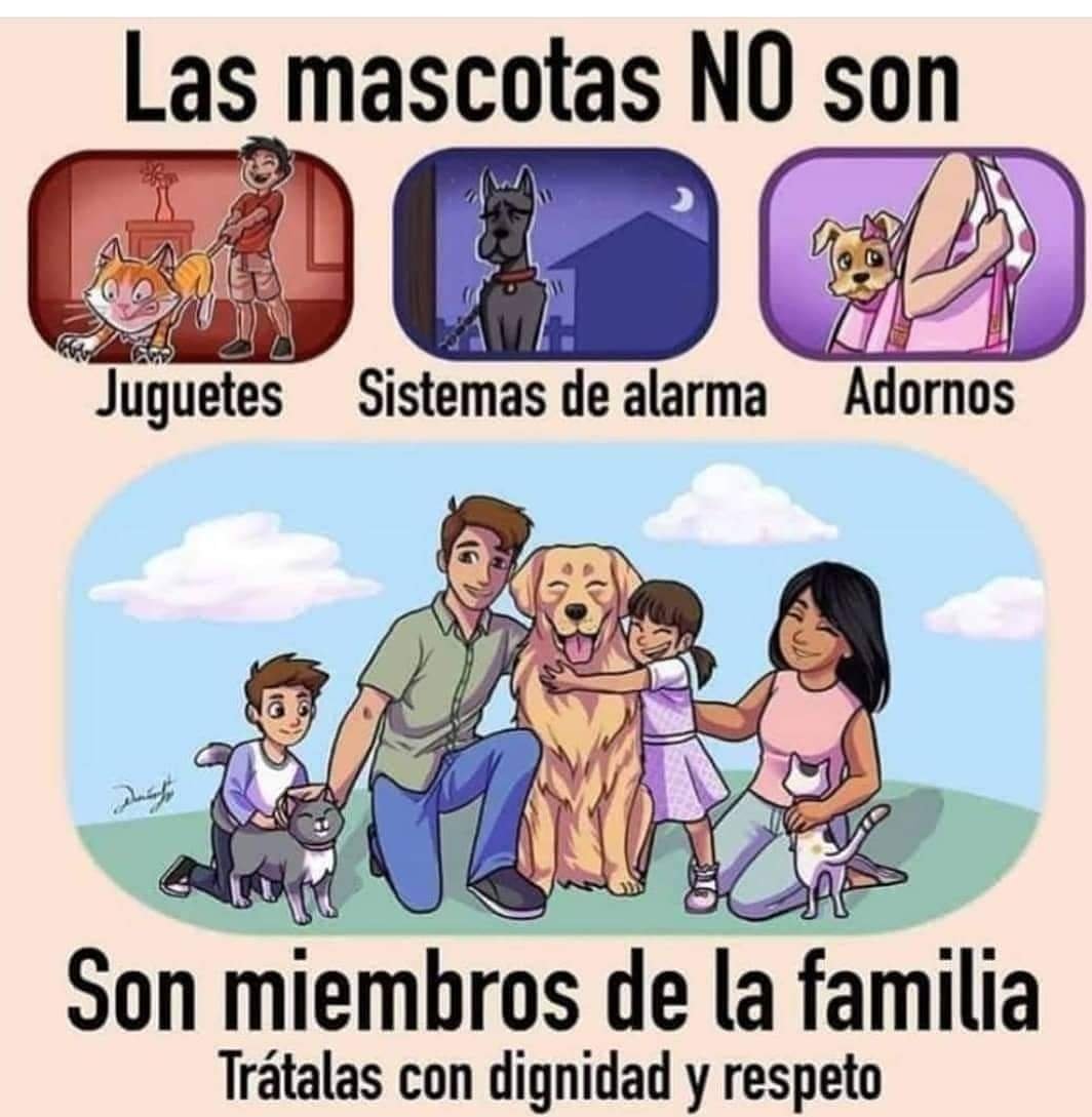 atomy_espana's tweet photo. https://t.co/4zj4qitkij