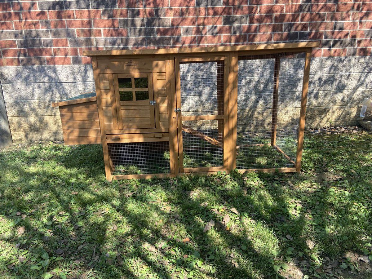 Big things are happening at JAE! 🐓