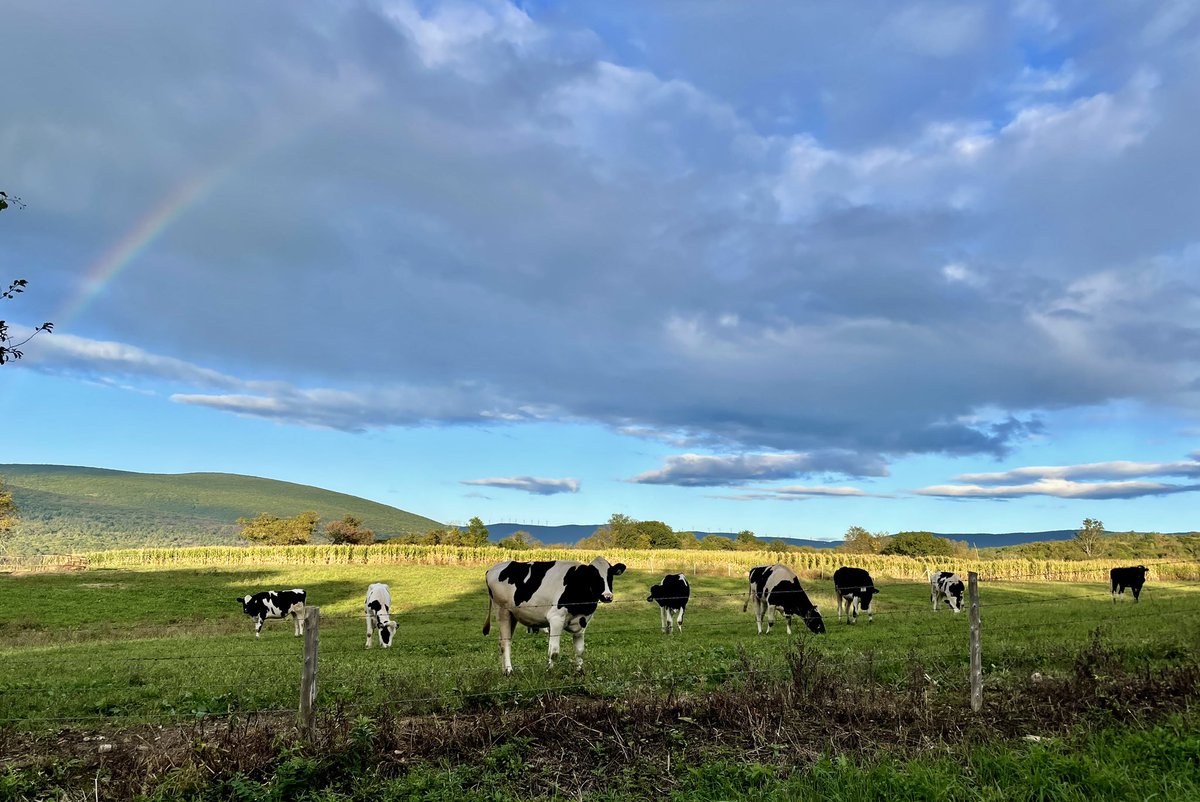 EphTweets's tweet photo. Happy Mountain Day! https://t.co/yd3EQP9zXp #mtnday #williamscollege https://t.co/9BnoFADjlm