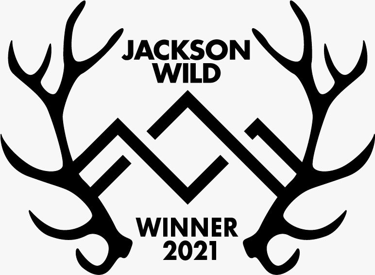 Lions, Bones & Bullets (@lionbonebullet) on Twitter photo LIONS, BONES & BULLETS won its first international recognition - Best Educational and Informational Film at the 2021 <a href="/JacksonWild/">Jackson Wild</a>. A huge THANK YOU to everyone involved, our friends, supporters, contributors and donors. LIONS, BONES & BULLETS won its first international recognition - Best Educational and Informational Film at the 2021 <a href="/JacksonWild/">Jackson Wild</a>. A huge THANK YOU to everyone involved, our friends, supporters, contributors and donors.