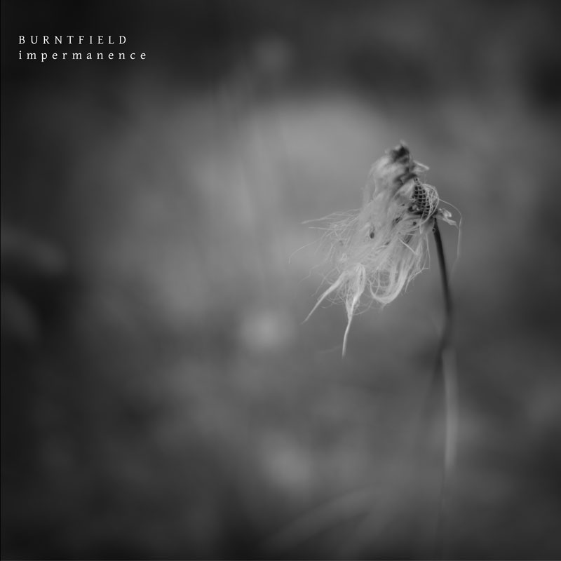 ImperativePR's tweet photo. Three years on from their highly praised debut album, Hereafter, @BurntfieldBand have returned with the quite beautiful Impermanence. Out November 12th on Progressive Gears.
https://t.co/IrmucwHF1u
#burntfield #impermanence #progressivegears #prog #melodicrock #modernprog #beauty https://t.co/Au6DQfDkjD