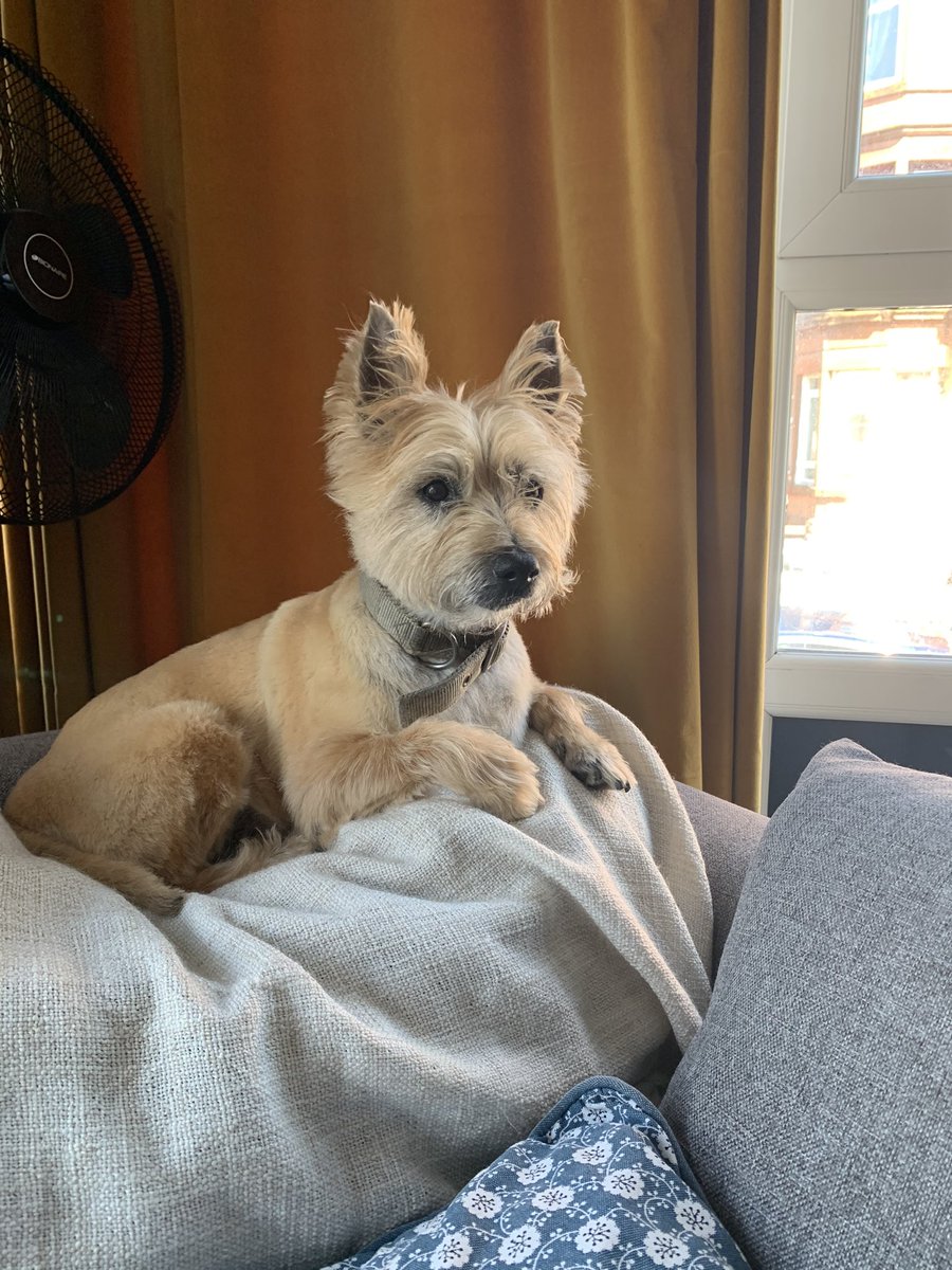 Marie-Claire Jones tweet media