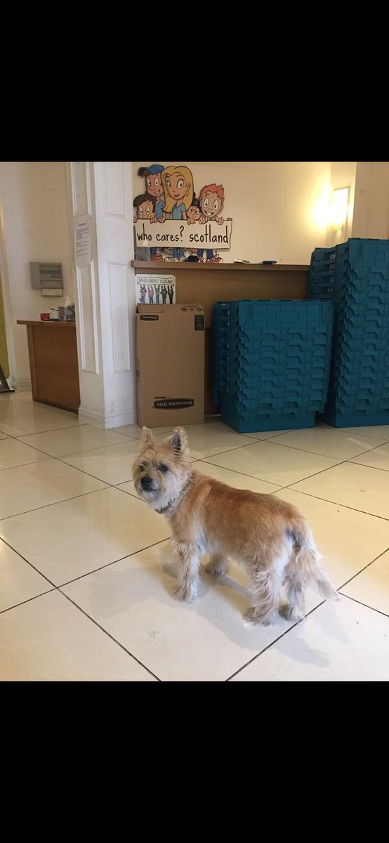 Marie-Claire Jones tweet media