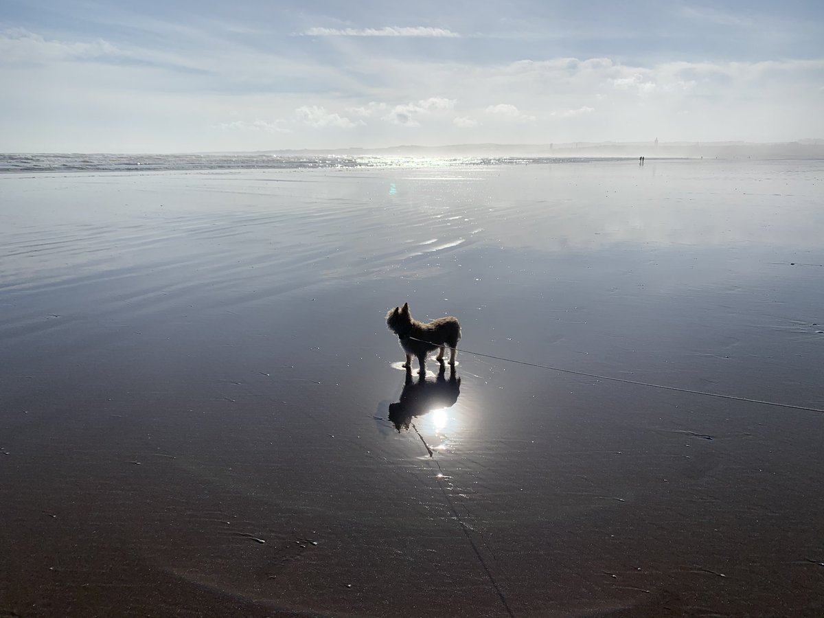 Marie-Claire Jones tweet media